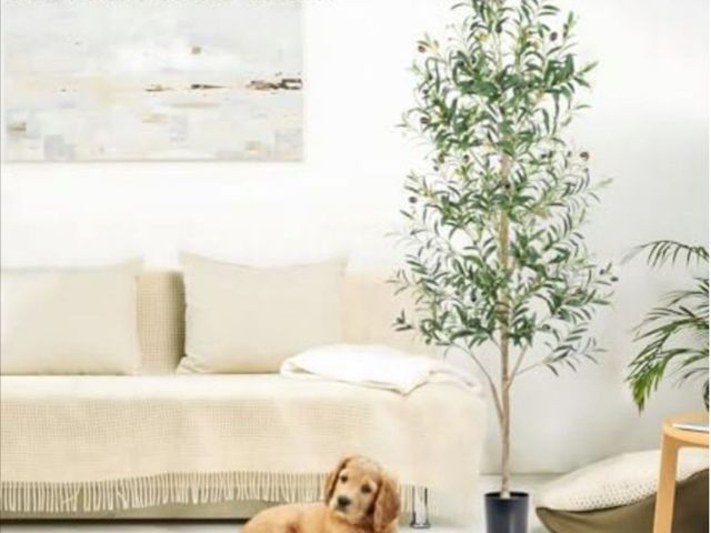 Lot 96-178155 - Artificial Olive Tree Faux Silk Plant - 6ft Fuller Leaves and Branches Plant for Home Office Decor I...