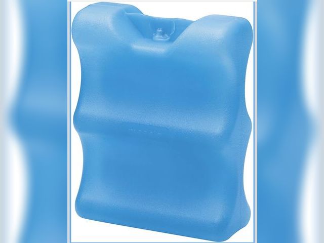Lot 96-191508 - Medela Ice Pack for Breast Milk Storage, Contoured Shape Designed to Fit Breastmilk Bottles, for On ...