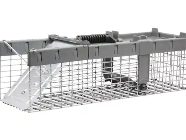 Lot 96-162180 - Havahart
Small 1-Door Humane Catch-and-Release Live Animal Cage Trap for Squirrel, Weasel, Chipmunk
...