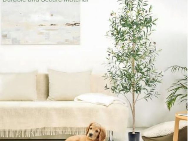 Lot 96-178027 - Artificial Olive Tree Faux Silk Plant - 6ft Fuller Leaves and Branches Plant for Home Office Decor I...
