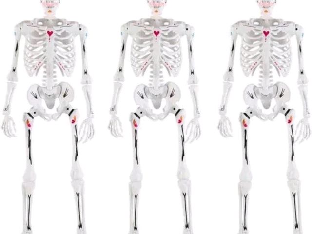 Lot 96-183498 - Ultraposeable Day of the Dead 3 Pack Halloween Skeleton Decorations New MSRP $129