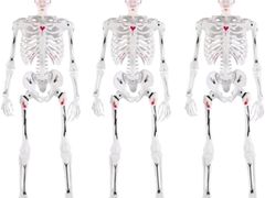 Lot 96-183498 - undefined