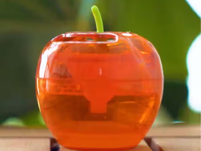 Lot 96-163417 - 5 Pack Raid Fruit Fly Apple Design Traps New