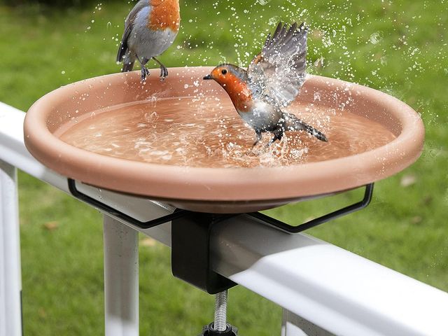 Lot 96-190776 - Bird Bath Deck Mounted Bowl 12 Inches, Balcony Railing Birdbaths Unheated, Bird Bath Fence Clamp Det...