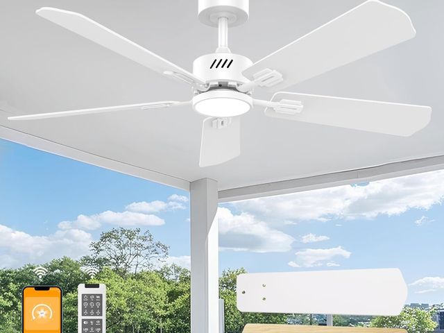 Lot 96-178984 - DAMINY 52 inch Ceiling Fan with Light,6CCT,5 Blade,Low Profile Ceiling Fan with Light and Remote Con...