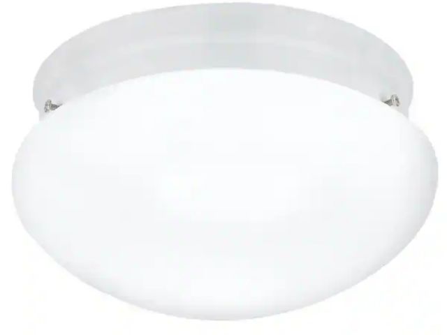 Lot 96-181776 - Generation Lighting
Webster 2-Light White Flush Mount
New