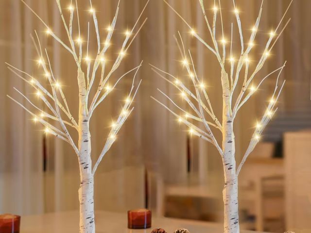 Lot 96-230867 - iMucci 2Pcs 2FT Lighted Birch Tree, Christmas Table Decor Artificial Branch Lights with 48 LED Warm ...