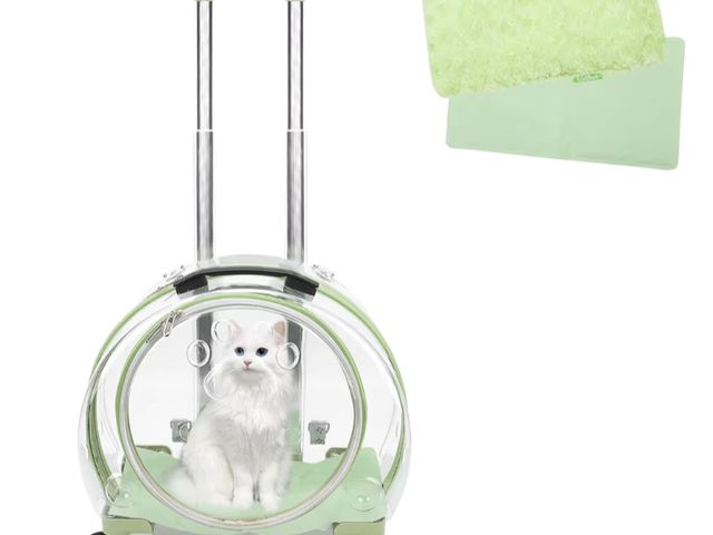 Lot 96-189905 - Transparent &amp; Fully Breathable Hard cat Carrier with Rolling Wheels for Dogs, Cats, Multiple Car...