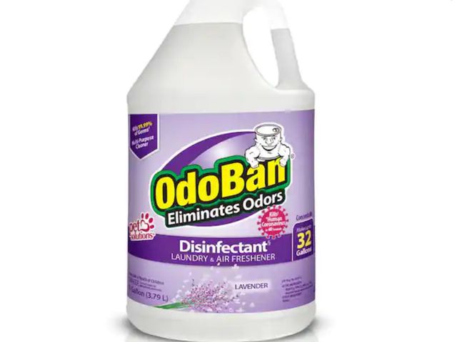 Lot 96-164871 - OdoBan
1 Gal. Lavender Disinfectant and Odor Eliminator, Fabric Freshener, Mold Control, Multi-Purpo...