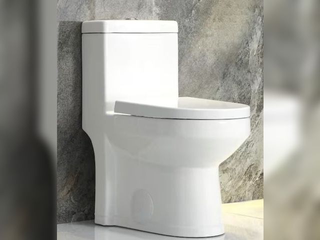 Lot 96-172080 - HOROW
1-piece 0.8/1.28 GPF Dual Flush Round Toilet in White with Durable UF Seat Included
New
MSRP $...