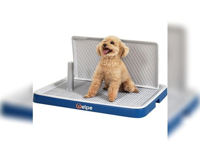 Lot 96-166623 - Welpe Indoor Dog Toilet with High Wall – 24.8" x 19.3" Pee pad holder for Small &amp; Medium Breeds,...