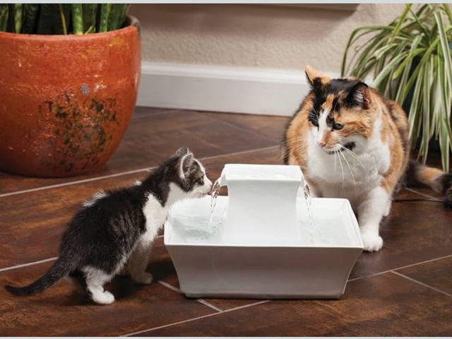 Lot 96-175172 - PetSafe Drinkwell Pagoda Fountain - Hygienic Ceramic Continuous Flowing Fountain - Elevated Upper Bo...