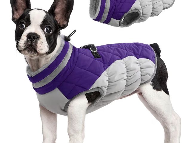 Lot 96-178780 - Dog Coat for Dogs,Waterproof Dog Winter Jacket with Harness Built in Puppy Cold Weather Coats Reflec...