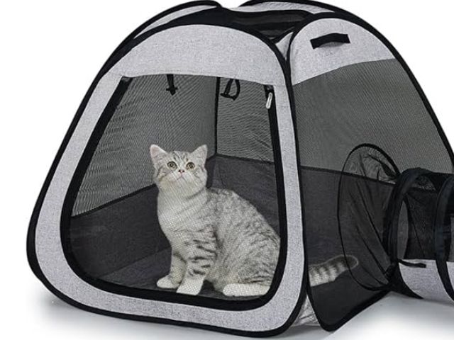 Lot 96-167374 - Pop Up Pet Tent

Appears unused. Actual item may vary slightly from stock photo