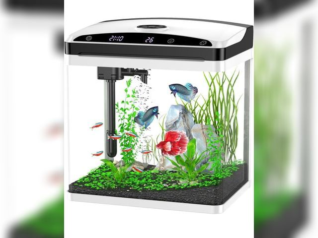 Lot 96-164323 - 3 Gallon Fish Tank, Small Smart Aquarium with Filter, LED Light, Temperature Display for Betta, Shri...