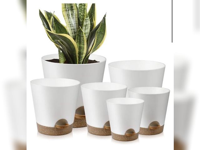 Lot 96-230496 - Indoor Self Watering Planters with Drainage Holes and Saucers. 5 Pots

New