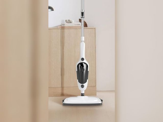 Lot 96-170417 - Steam Cleaner for Home with 450MLWater Tank &amp; 23FT Power Cord, Detachable Steam Mops for Floor C...