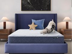 Lot 96-210311 - undefined