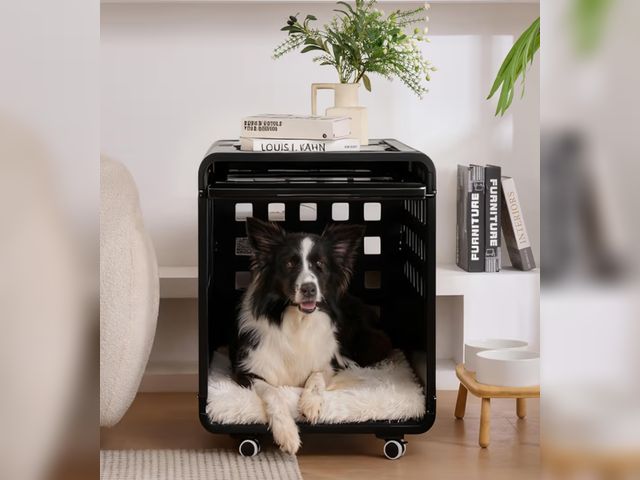 Lot 96-187711 - Acrylic Transparent Dog Box, Durable Dog Bed with Movable Panel and Modular Design - Safe, Fashionab...