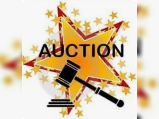 Monday, July 20th Auction. Home Depot, Amazon Costway and More
