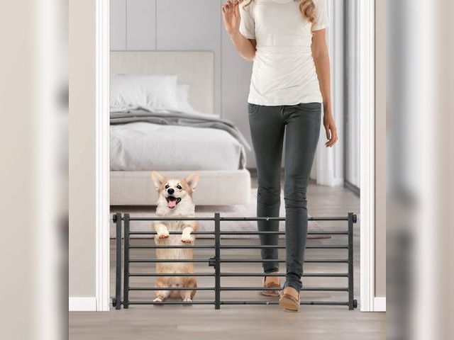 Lot 96-169546 - Malier Indoor Dog Gate with Door, 26-41" Extra Wide Full Metal Pet Gate Short Dog Gate for Stairs, P...