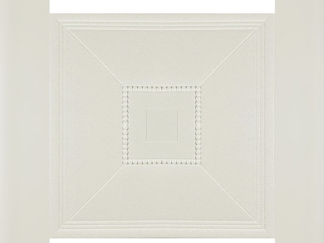 JDCBidding.com - Lot 96-169168 - Ceiling Tiles Peel and Stick ...