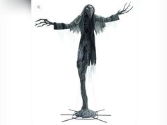 Lot 96-179805 - undefined