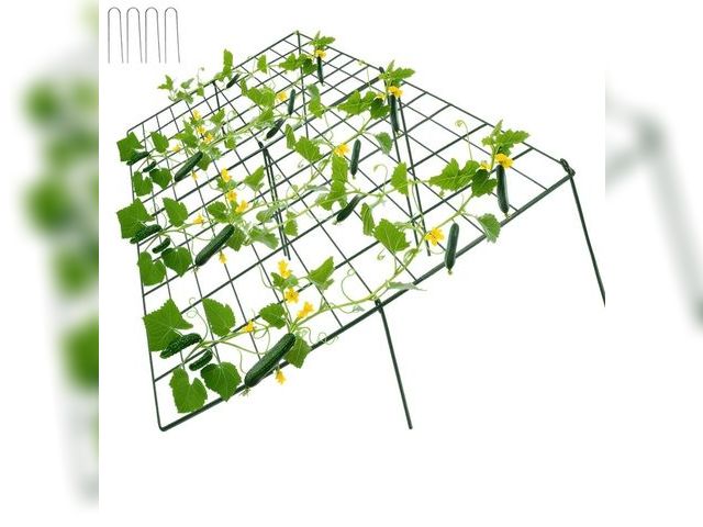 Lot 96-172549 - Cucumber Trellis for Raised Bed, 48" L x 48" W Garden Trellis for Climbing Plants Outdoor with Suppo...