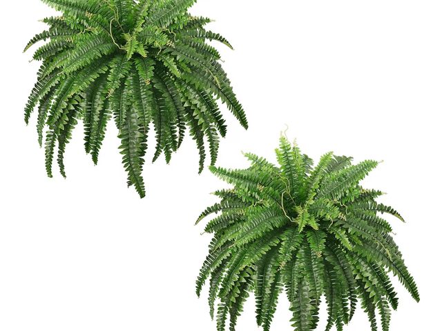 Lot 96-187718 - 45" Fake Ferns, Realistic Large Artificial Bush Plants, 2 Artificial Boston Ferns with 59 Fronds for...