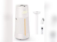 Lot 96-210204 - undefined