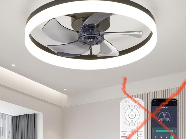 Lot 96-187806 - Ceiling Fans with Lights, 20 Inch Flush Mount Low Profile Ceiling Fan, Reversible DC Motor, 6 Speeds...