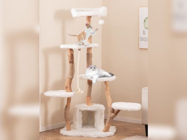 Lot 96-227860 - 66in Tall Solid Wood Cat Tree Modern Wooden Cat Tower with Perch, White 
Open box 
Appears unused 
M...