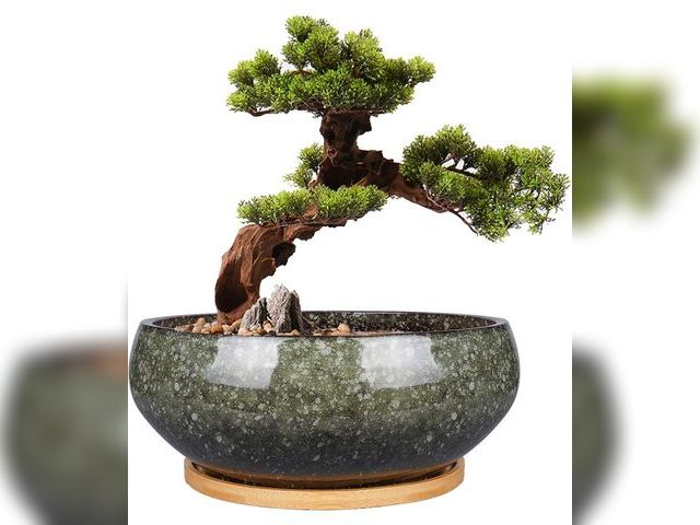 Lot 96-191311 - 8 Inch Ceramic Bonsai Planter Pot, Glazed Shallow Succulent Planter with Drainage Hole and Bamboo Sa...