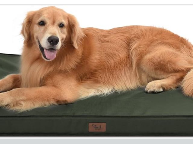 Lot 96-170575 - Outdoor Extra Large Dog Bed, Waterproof Dog Bed for Large Dogs, Orthopedic Egg Foam Pet Bed with Was...
