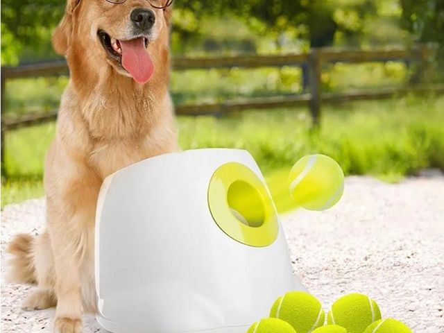 Lot 96-166284 - ALL FOR PAWS Automatic Dog Ball Launcher for Medium to Large Dogs, Interactive Tennis Ball Thrower, ...