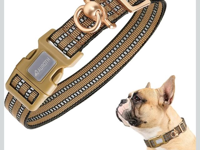 Lot 96-177754 - AIRTAG Dog Collar. for Your Dog Love and The Best Friend. Waterproof with Silicone Protective CASE. ...