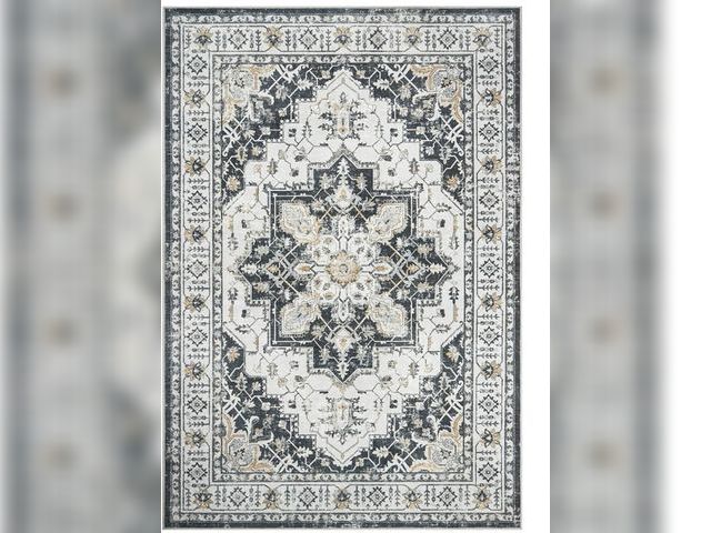 Lot 96-169628 - zesthome Area Rug 8x10,Ultra-Thin Washable Rugs for Living Room, Non-Slip Backing Area Rugs,Small En...