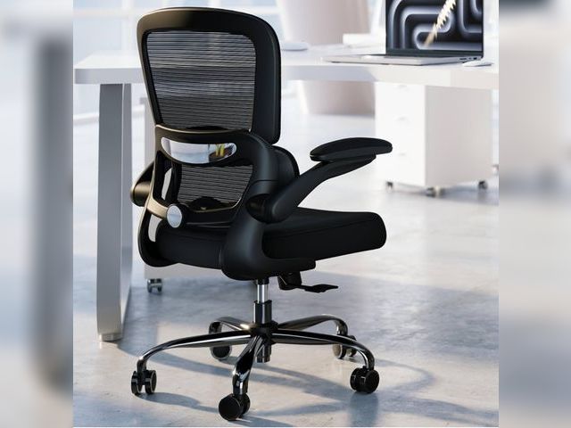 Lot 96-175899 - TRALT Office Chair - Ergonomic Desk Chair with Adjustable Lumbar Support, Mesh Computer Chair, Execu...
