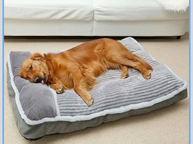 Lot 96-189966 - Dog bed, medium, may vary from stock photo, unused