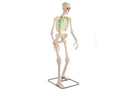 Lot 96-182642 - undefined