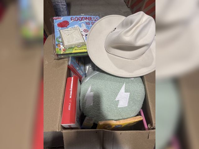 Lot 96-164774 - Miscellaneous Target box of items
Mostly new items