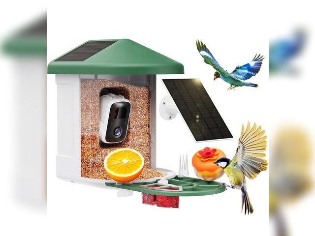 Lot 96-191126 - Bird Feeder with Camera with AI Identify Birds Species Solar Powered, Smart Bird House with Cam, 2K ...