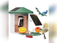 Lot 96-191126 - undefined