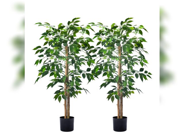 Lot 96-177600 - 2Packs 4FT Artificial Ficus Trees with Realistic Leaves and Natural Trunk, Faux Ficus Tree with Stur...