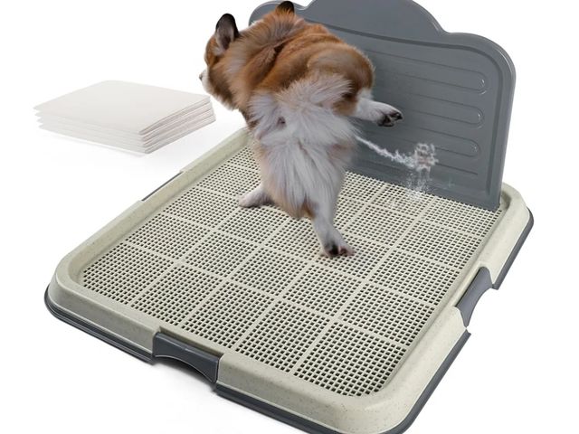 Lot 96-175764 - FSHNS Pee Pad Holder for Small Potty Training Tray 25x20 inch (white)
New