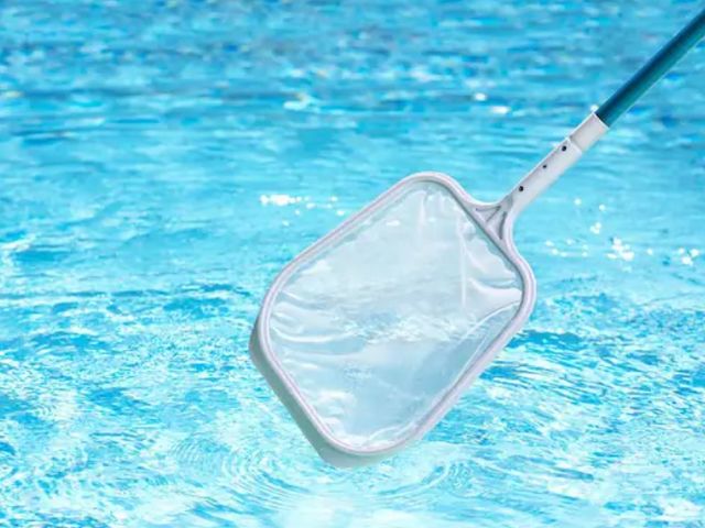 Lot 96-158382 - HDX
Swimming Pool and Spa Skimmer with 4ft. to 8ft. Telescoping Pole
New