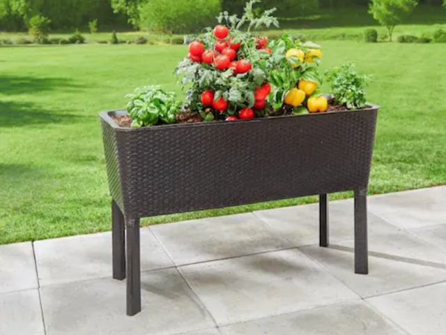 Lot 96-227884 - Vigoro
Large Brown Plastic Elevated Raised Garden Bed (19.8 in. L x 44.5 in. W x 15.3 in. H)
Lightly...