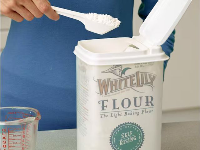 Lot 96-162328 - 2Pk Buddeez Storage Dispenser for Flour, Sugar and More with Flip Lid and Scoop New