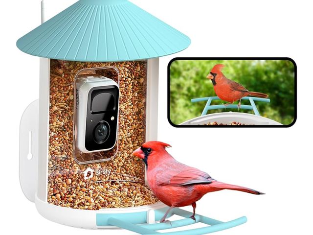 Lot 96-171018 - NETVUE by Birdfy Smart Bird Feeder with Camera, Bird Watching Camera, Auto Capture Video &amp; Motio...