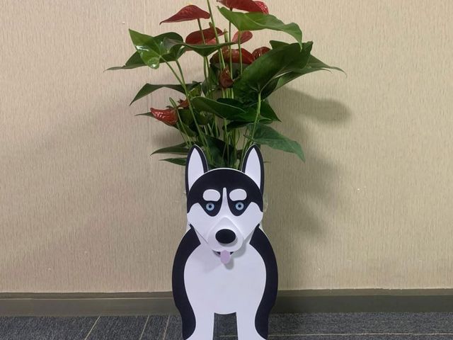 Lot 96-170973 - Siberian Husky Dog Planter, Decorative Planter Lovely Office Desktop Storage for Home and Garden（22i...